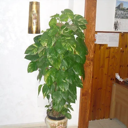 Bed & Breakfast Sa Marina 3*