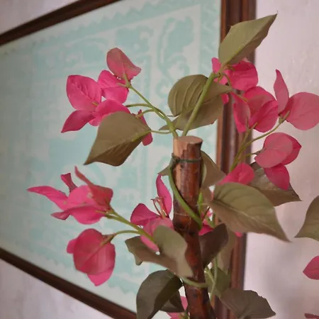 Bed & Breakfast Sa Marina 3*